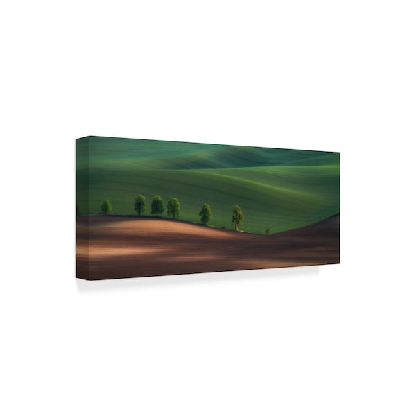 Peter Svoboda 'Alley Green Trees' Canvas Art,20x47